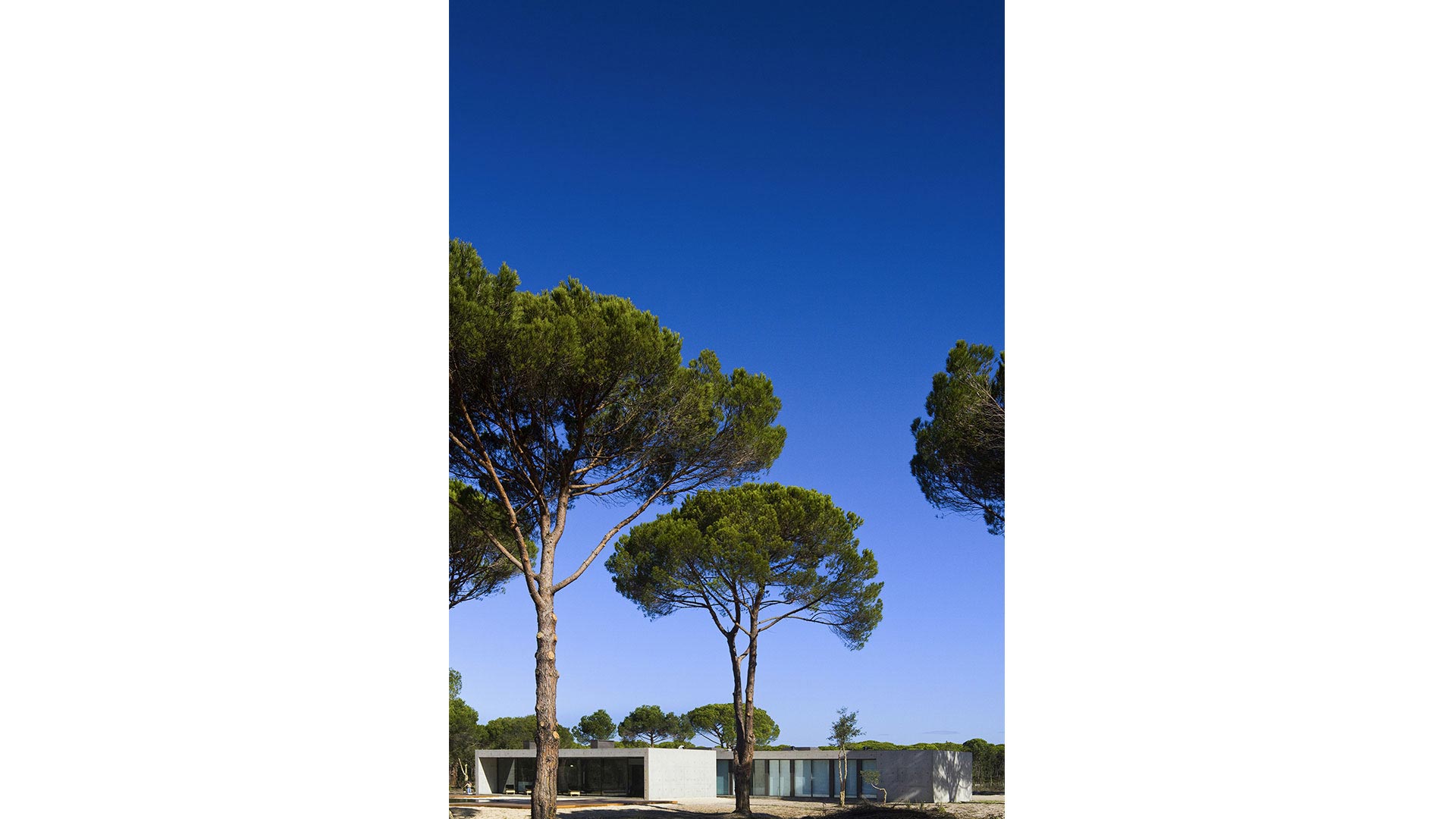 ​Casa na Comporta